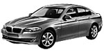 BMW F10 P0AF8 Fault Code